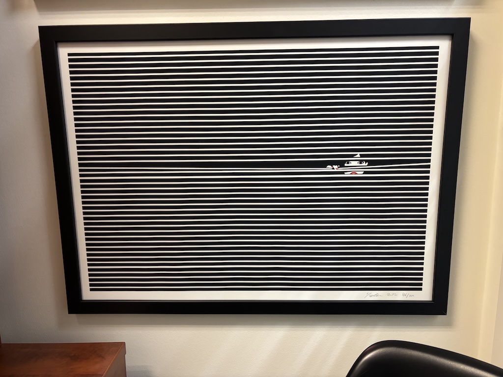 Hide and Seek (Blinds) by Malika Favre