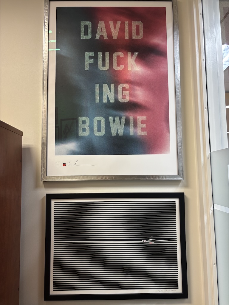 Hide and Seek (Blinds) by Malika Favre with David Fucking Bowie - Diamond Dust by Dave Buonaguidi